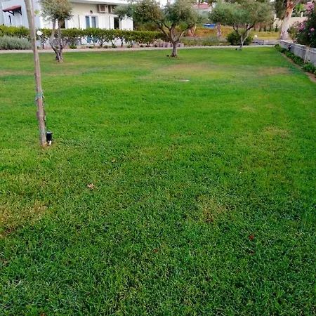 Aloni And Apartment